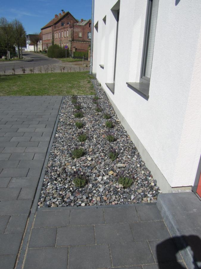 Reusenhaus Nord Villa Breege Kültér fotó